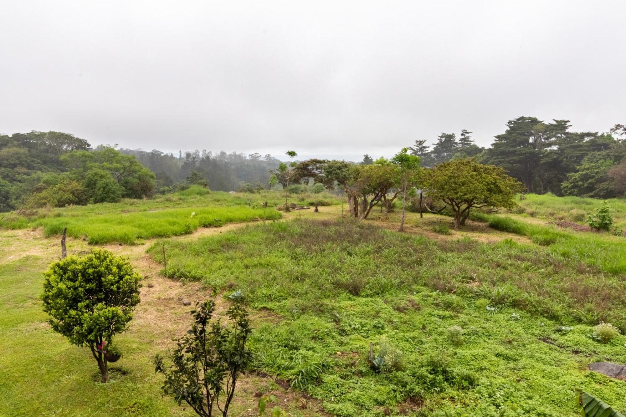 Monteverde Ecolove Екстериор снимка